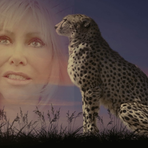 Meet your Posher, Sharon - Picture 3 of 4